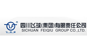 四川飛球(qiu)（集團）有限(xian)責任公司(si)