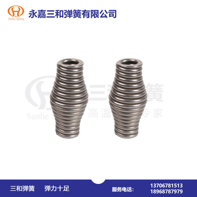 耐(nai)氫氟酸腐(fu)蝕彈簧