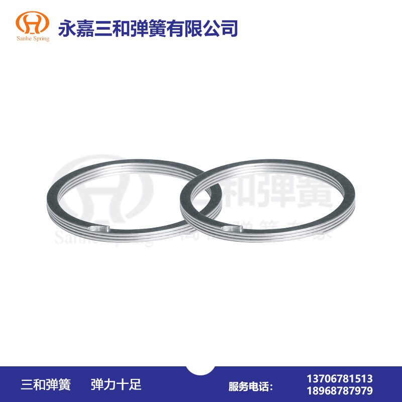 非(fēi)标擋圈(quan) 非标(biāo)擋圈