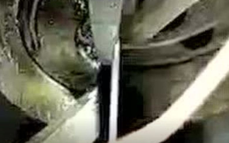 三和彈(dan)簧--不鏽(xiù)鋼拉簧(huang)